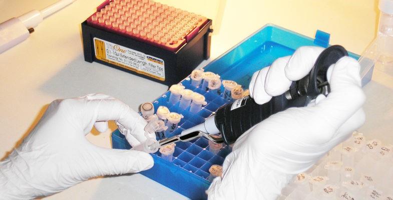 زمینههای تحقیقاتی رشته ویروسشناسی پزشکی